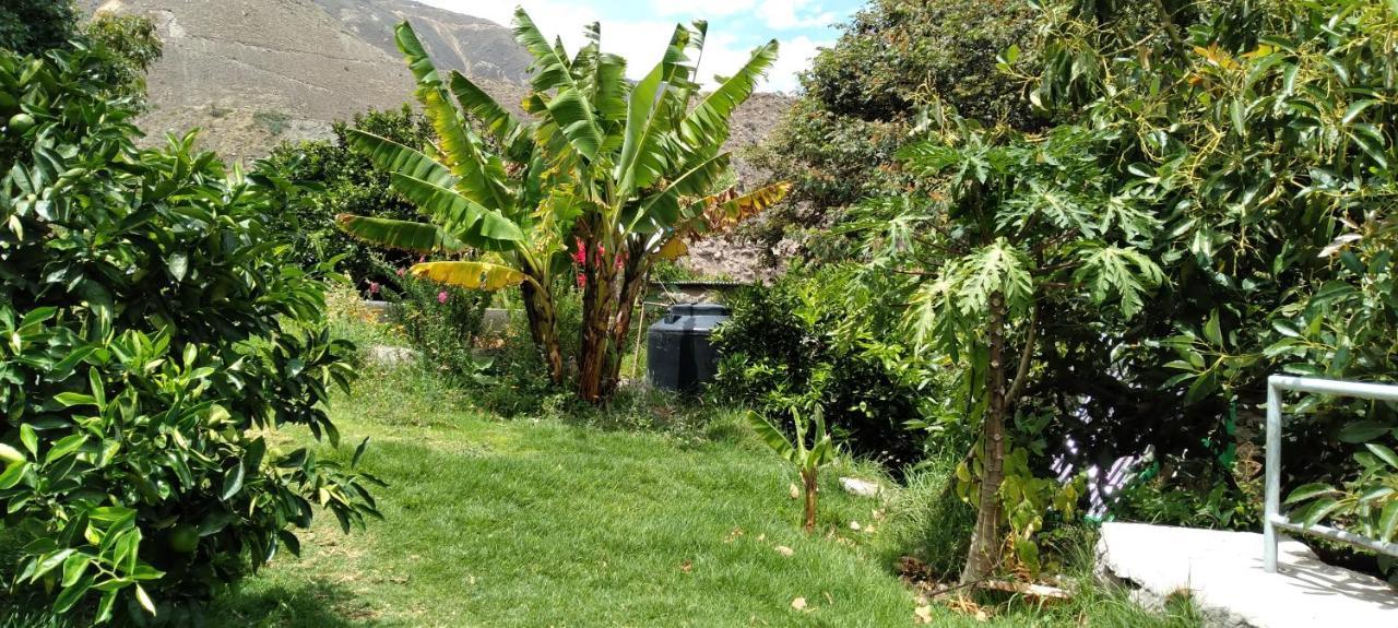 Casa De Virginia Villa Cabanaconde Dış mekan fotoğraf