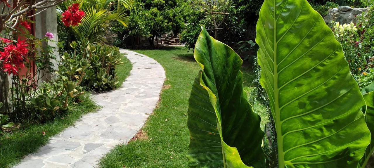 Casa De Virginia Villa Cabanaconde Dış mekan fotoğraf