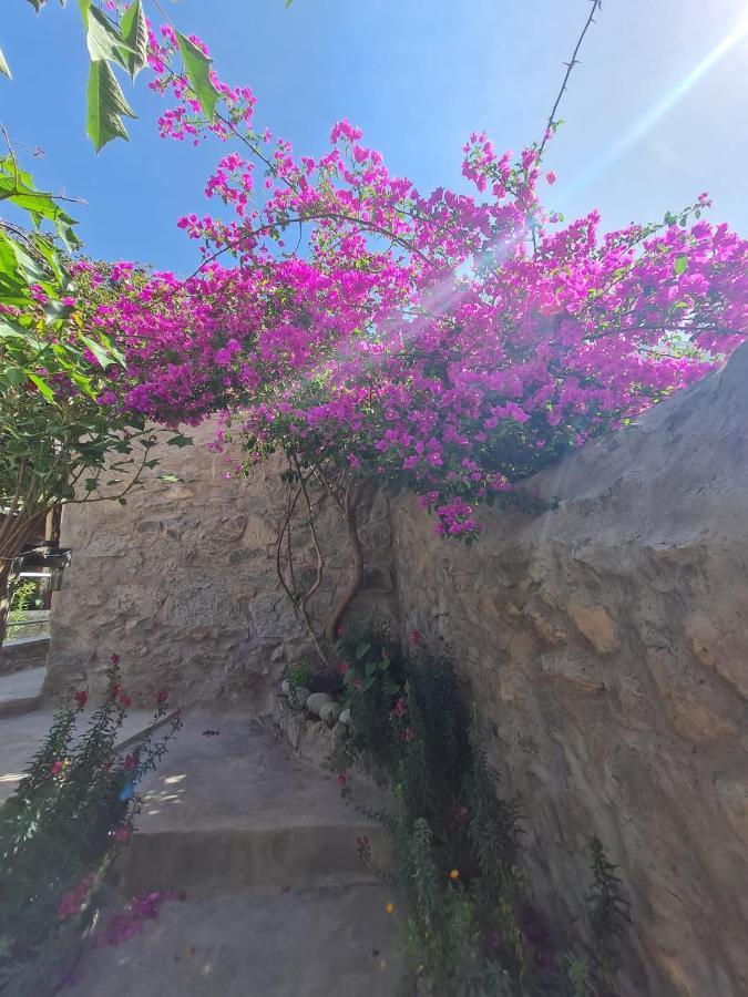Casa De Virginia Villa Cabanaconde Dış mekan fotoğraf