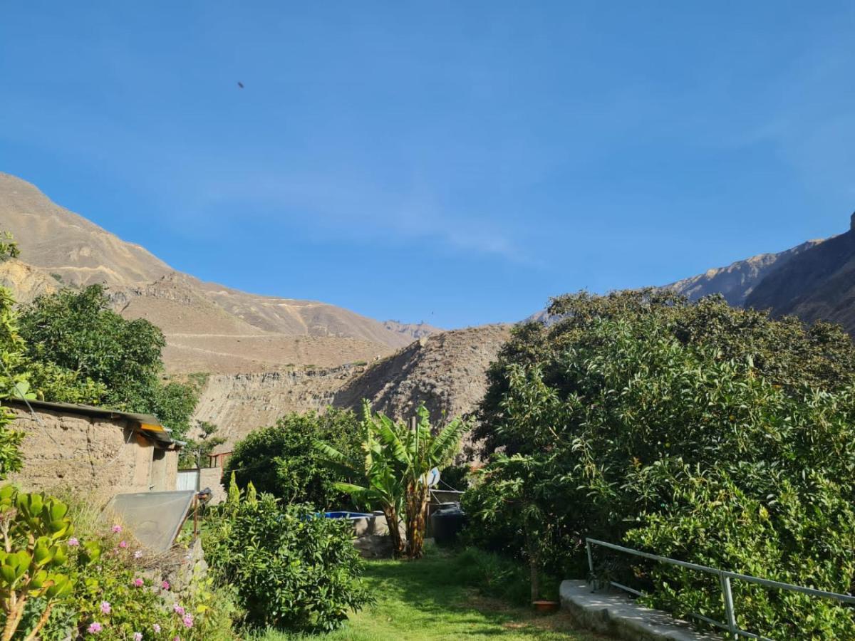 Casa De Virginia Villa Cabanaconde Dış mekan fotoğraf