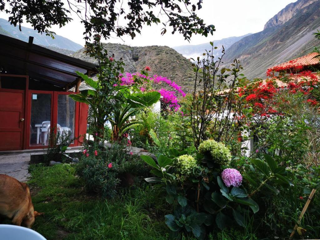 Casa De Virginia Villa Cabanaconde Dış mekan fotoğraf