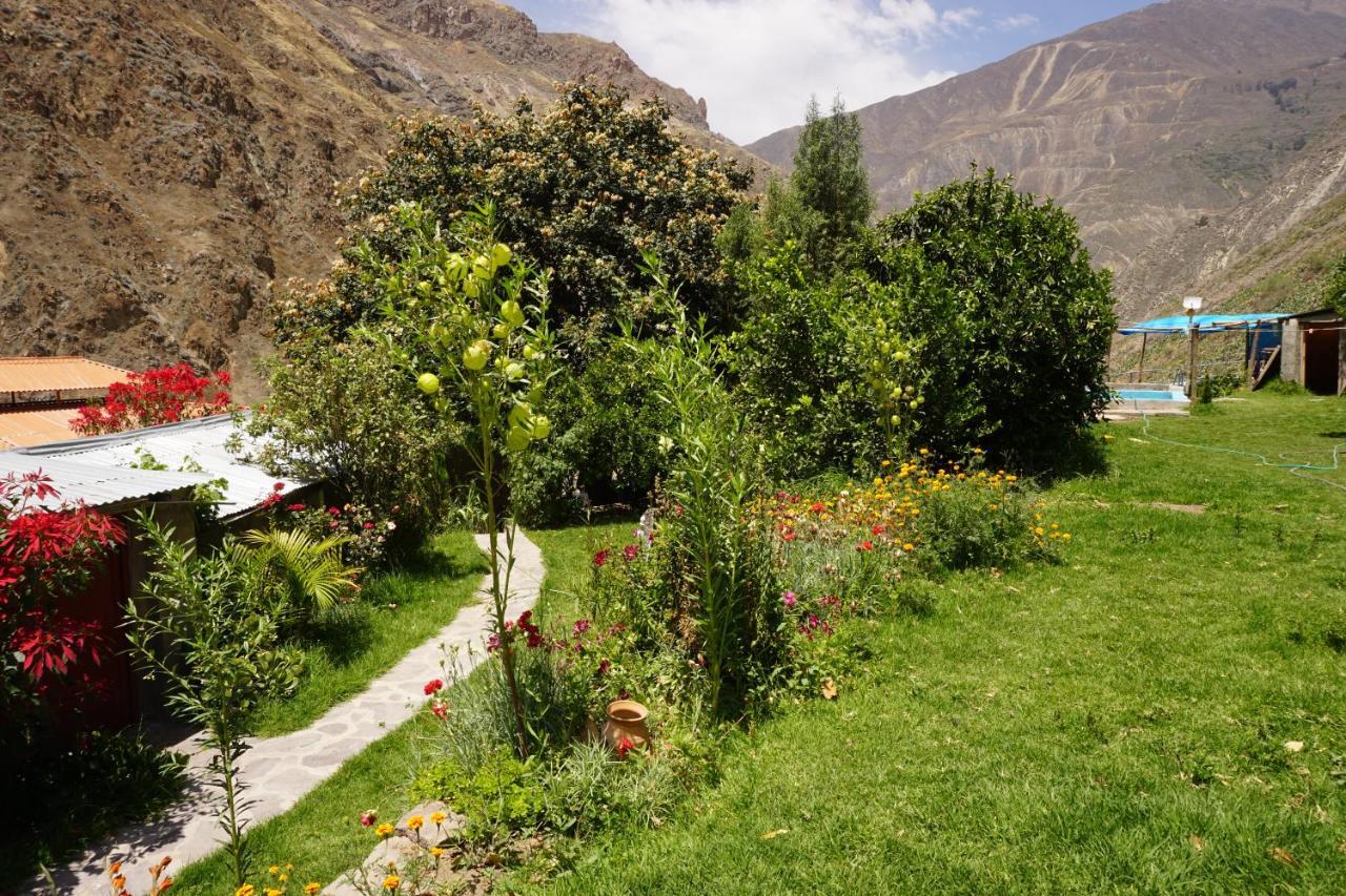 Casa De Virginia Villa Cabanaconde Dış mekan fotoğraf